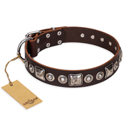 "Pierian spring" FDT Artisan Brown Leather Bulldog Collar with Silvery Decorations