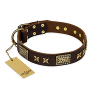 "Sparkling Bronze" FDT Artisan Genuine Leather Bulldog Collar with Bronze Look Stars and Plates