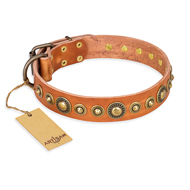 "Feast of Luxury" FDT Artisan Tan Leather Bulldog Collar with Old Bronze Look Circles