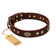 "Old-fashioned Glamor" FDT Artisan Brown Leather Bulldog Collar with Old Bronze Look Plates and Circles