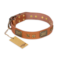 "Cosmic Traveller" FDT Artisan Adorned Leather Bulldog Collar with Old Bronze-Plated Stars and Plates
