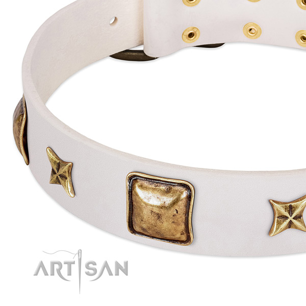 Rust-proof studs on full grain natural leather dog collar for your dog