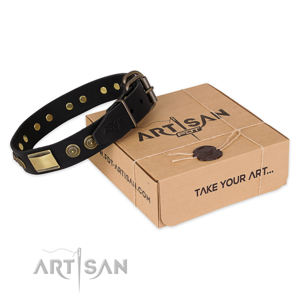 Durable buckle on full grain leather dog collar for stylish walking