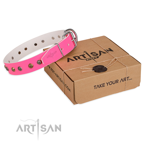 Daily walking dog collar with Stylish corrosion proof adornments
