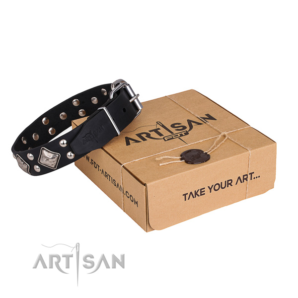 Daily walking dog collar with Stylish corrosion proof adornments