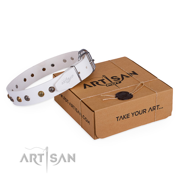 Comfortable wearing dog collar with Designer corrosion resistant decorations