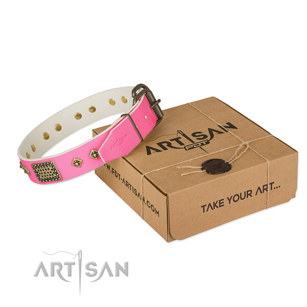 Rust-proof adornments on dog collar for daily walking