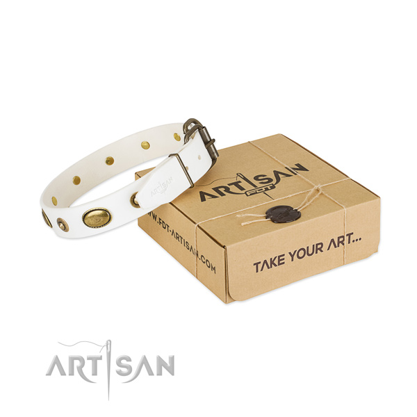 Stylish full grain natural leather collar for your stylish canine