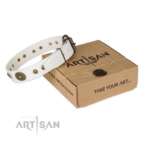 Rust resistant buckle on full grain leather dog collar for walking
