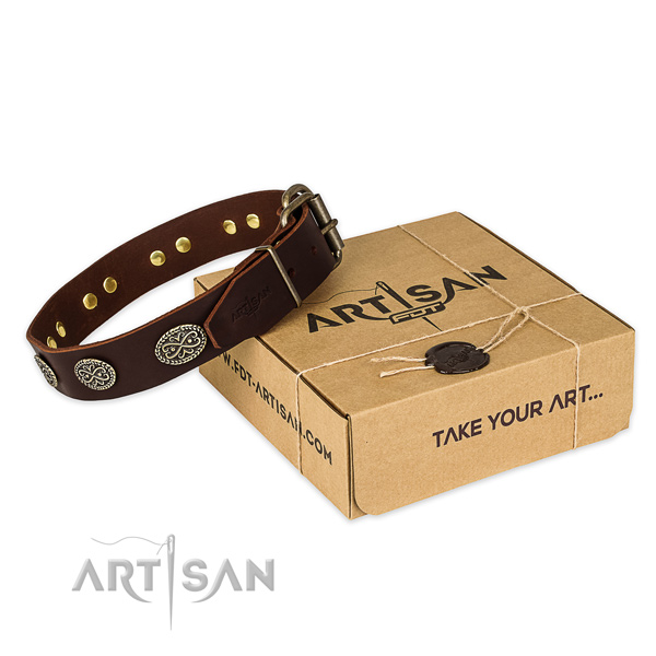 Reliable D-ring on natural genuine leather collar for your attractive doggie