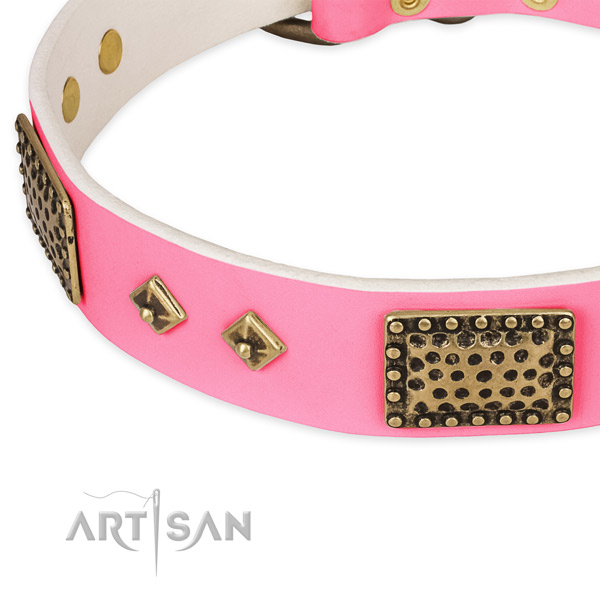 Full grain natural leather dog collar with embellishments for handy use