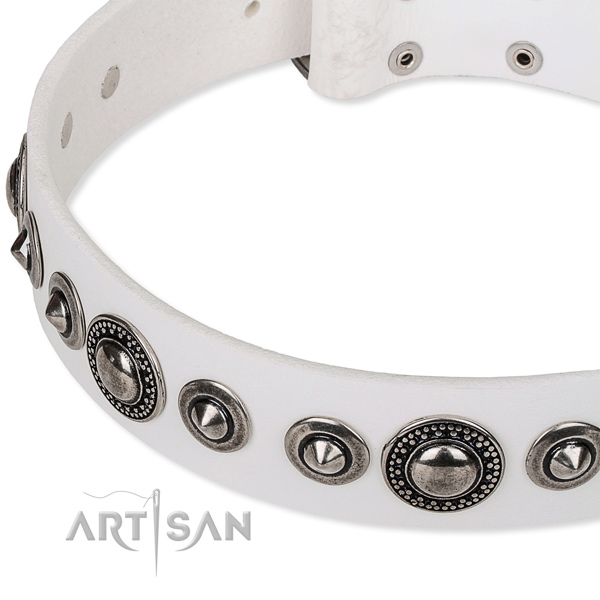 Daily use studded dog collar of top notch full grain genuine leather