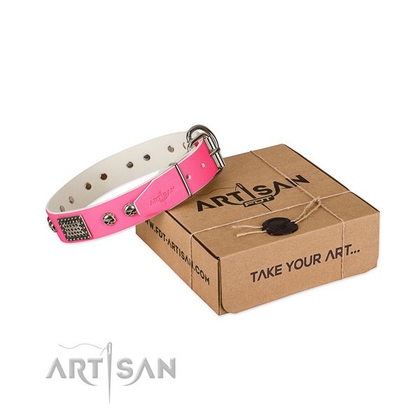 Corrosion proof adornments on dog collar for stylish walking