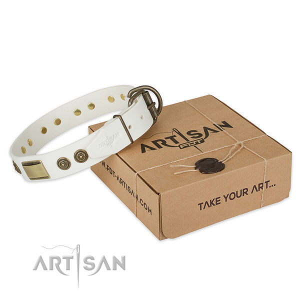 Rust-proof D-ring on natural genuine leather dog collar for daily use