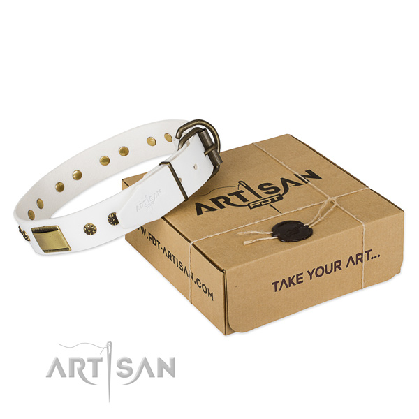 Impressive genuine leather collar for your lovely canine