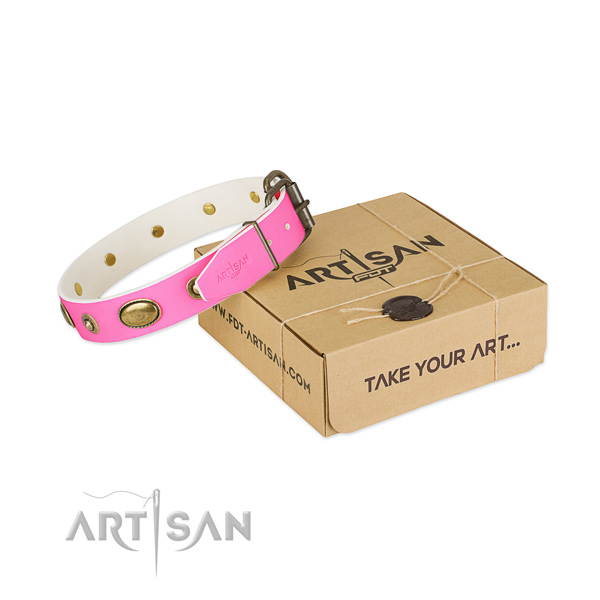 Exceptional full grain genuine leather collar for your beautiful canine