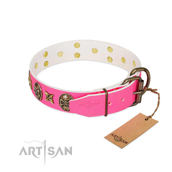 Rust resistant buckle on genuine leather collar for walking your four-legged friend