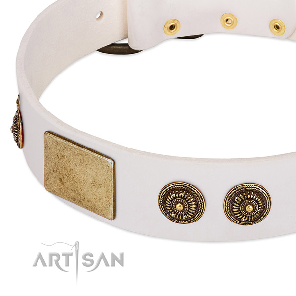 Designer dog collar created for your lovely pet