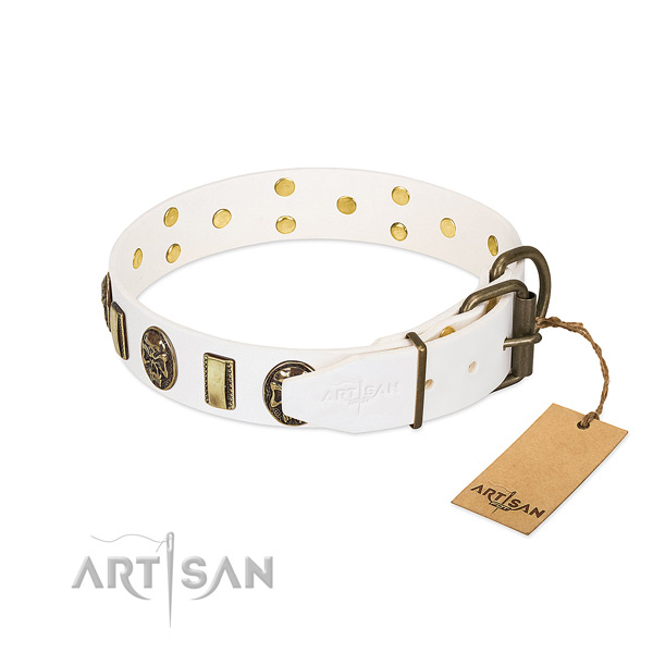 Corrosion proof fittings on genuine leather collar for stylish walking your dog
