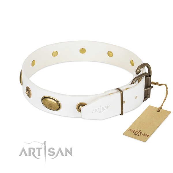 Corrosion proof embellishments on full grain leather dog collar for your doggie
