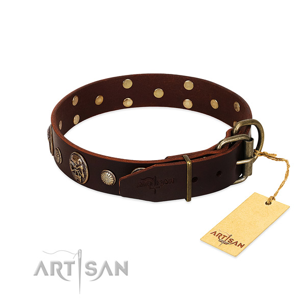 Rust-proof fittings on walking dog collar