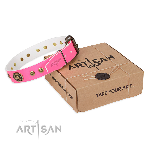Full grain genuine leather dog collar made of best quality material with corrosion proof fittings