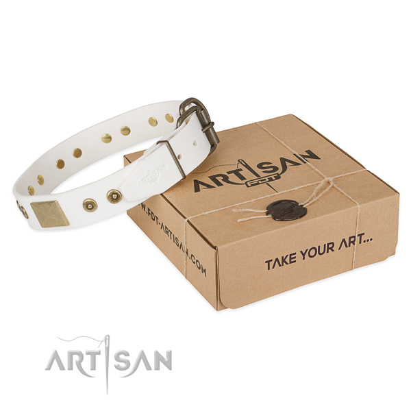 Stylish design genuine leather collar for your lovely pet