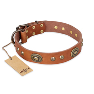"Stunning Dress" FDT Artisan Tan Leather Bulldog Collar with Old Bronze Look Plates and Studs