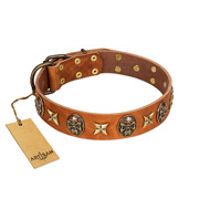 "Rockin' Doggie" FDT Artisan Tan Leather Bulldog Collar Adorned with Stars and Skulls