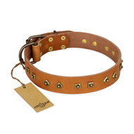 "Autumn Story" FDT Artisan Leather Bulldog Collar with Old Bronze Look Studs