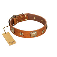 "Celtic Tunes" FDT Artisan Tan Leather Bulldog Collar Adorned with Stars and Squares