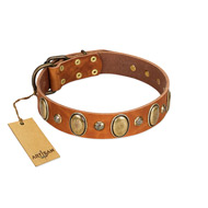 "Venus Breath" FDT Artisan Tan Leather Bulldog Collar with Vintage Looking Oval and Round Studs