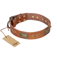 "Catchy Look" FDT Artisan Decorated Tan Leather Bulldog Collar