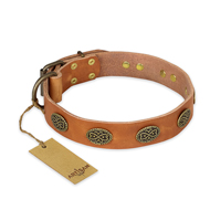 "Magic Amulet" FDT Artisan Tan Leather Bulldog Collar with Oval Studs