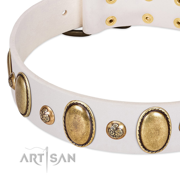 Natural leather dog collar with remarkable embellishments