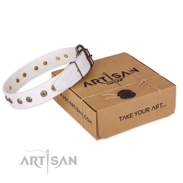 Durable traditional buckle on natural genuine leather collar for your beautiful pet