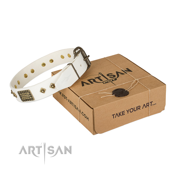 Impressive genuine leather collar for your lovely four-legged friend