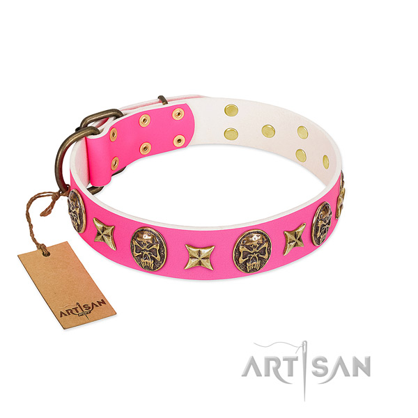 Adjustable full grain natural leather dog collar for stylish walking