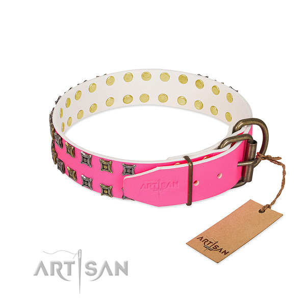 Full grain natural leather collar with significant embellishments for your canine