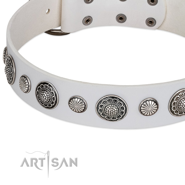 Genuine leather collar with corrosion proof traditional buckle for your handsome doggie