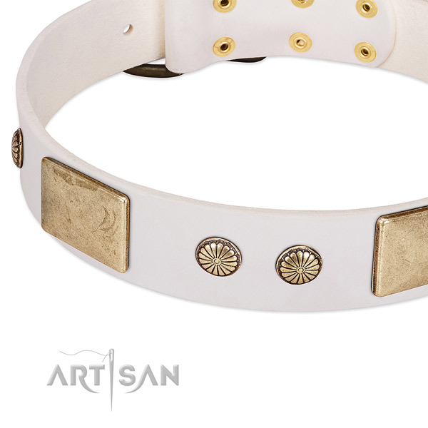 Corrosion resistant hardware on genuine leather dog collar for your pet