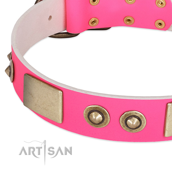 Reliable decorations on leather dog collar for your doggie