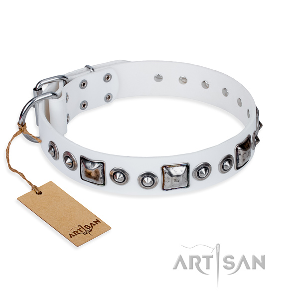 Full grain genuine leather dog collar made of gentle to touch material with reliable traditional buckle