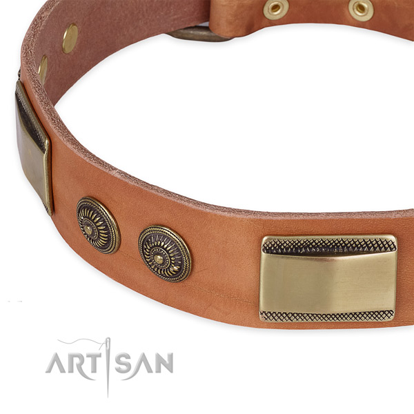 Corrosion proof decorations on full grain genuine leather dog collar for your doggie
