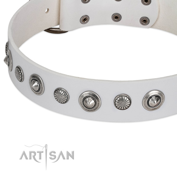 Full grain leather collar with rust-proof traditional buckle for your attractive four-legged friend