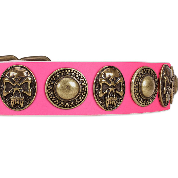 Rust-proof hardware on genuine leather dog collar for your pet