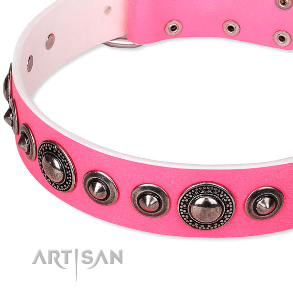 Everyday walking decorated dog collar of finest quality full grain natural leather