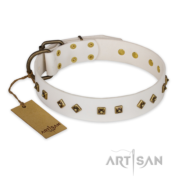 Fine quality leather dog collar with durable D-ring