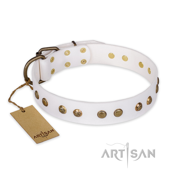Significant full grain leather dog collar with durable fittings