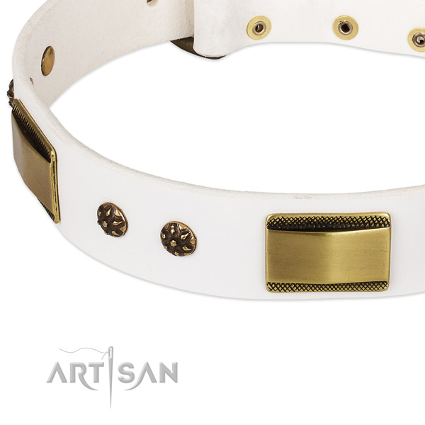 Reliable studs on leather dog collar for your pet
